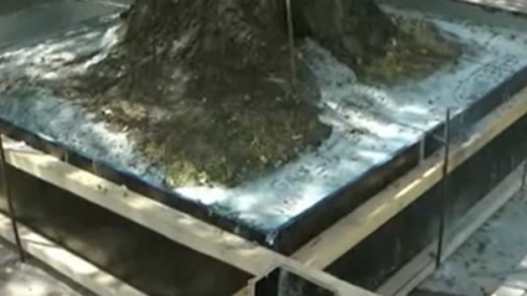 Снимка: Кадър, Нова тв