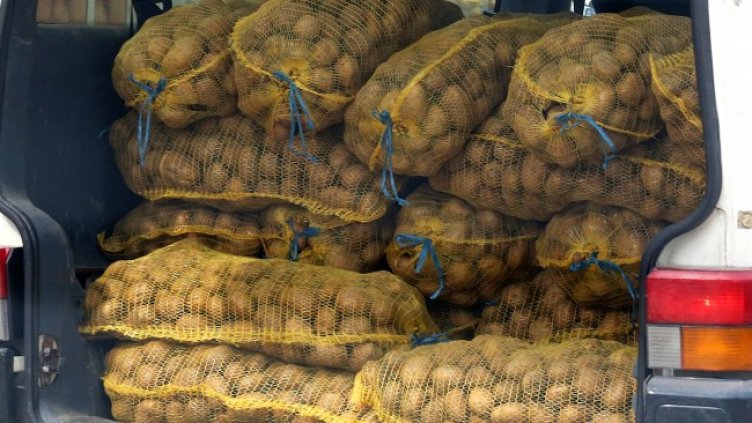 Снимка: архив, БГНЕС