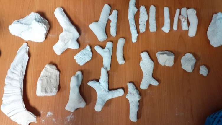 Снимка: Агенция "Митници"