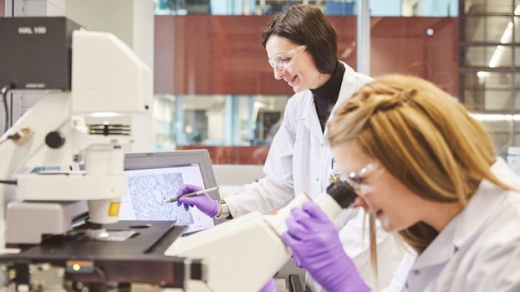 Електронни цигари и системи с нагряване на тютюн – какви са разликите?