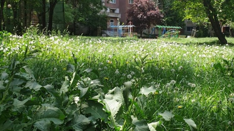 Снимка: Helpbook