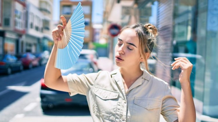 Снимка: Istock