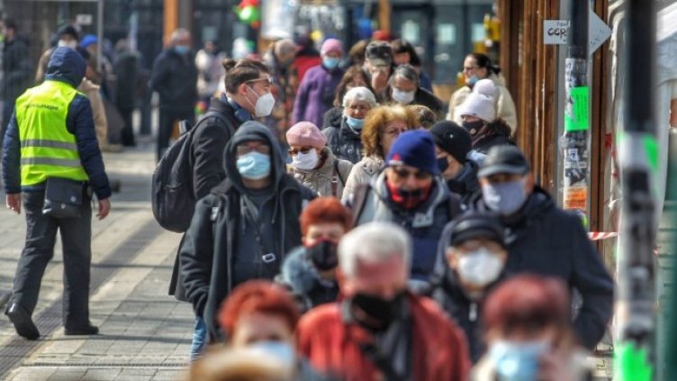 Снимка: Димитър Кьосемарлиев, Dnes.bg