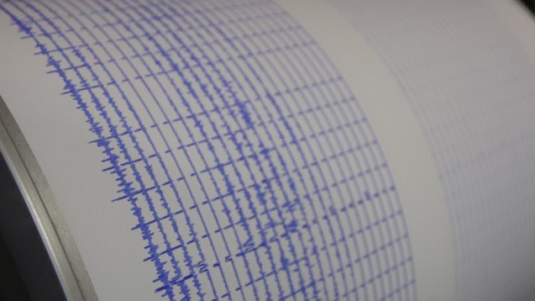 Снимка: архив, БГНЕС