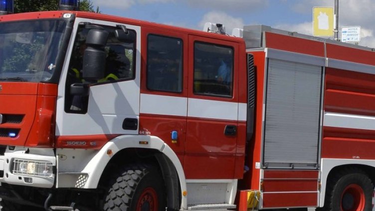 Снимка: архив, БГНЕС