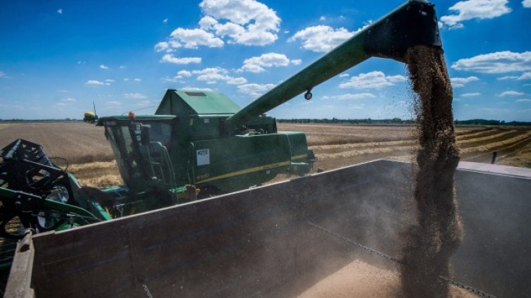 Снимка: архив, БГНЕС