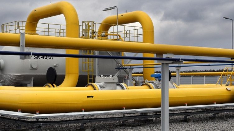 Снимка: архив, БГНЕС