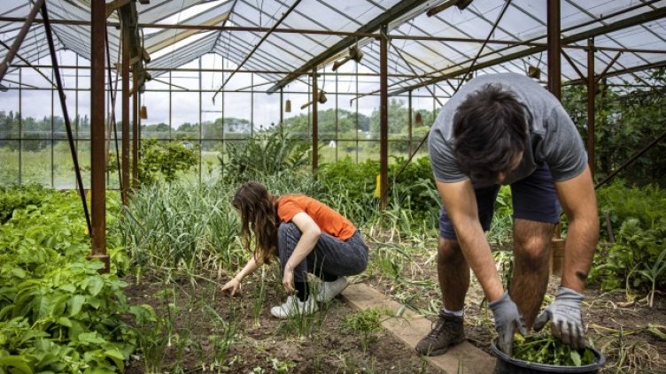 Снимка: БГНЕС