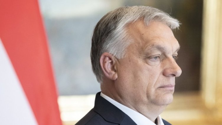 Снимка: архив, БГНЕС