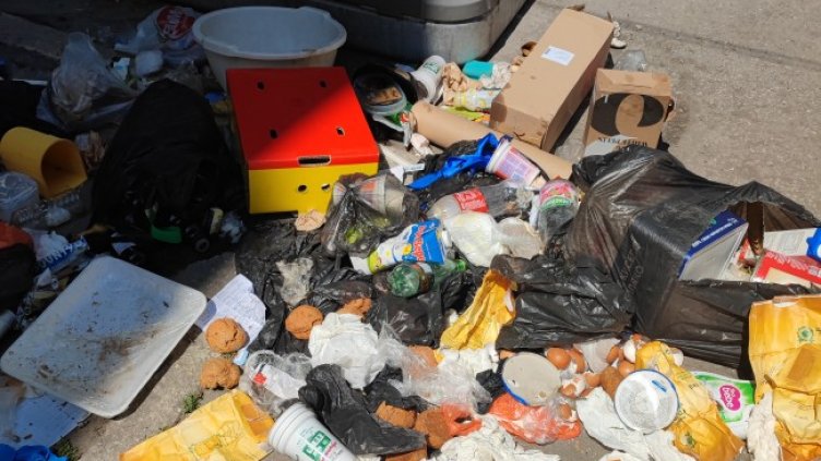 Снимка: Helpbook