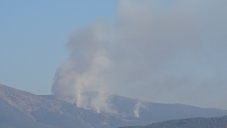 Снимка: архив, БГНЕС