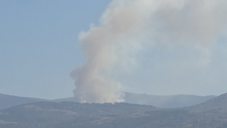 Снимка: архив, БГНЕС