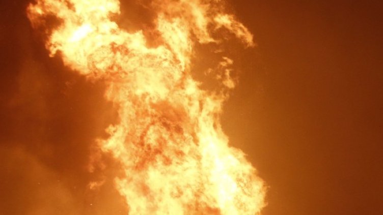 Снимка: архив, БГНЕС