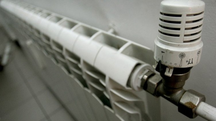 Снимка: архив, БГНЕС