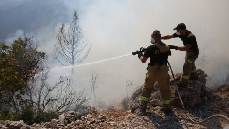 Снимка: архив, БГНЕС