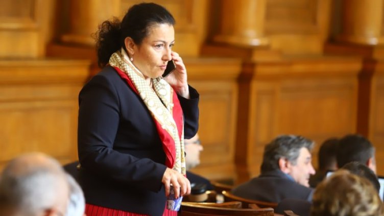 Снимка: БГНЕС