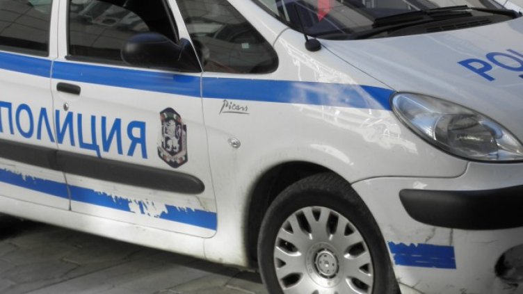 Снимка: архив, БГНЕС