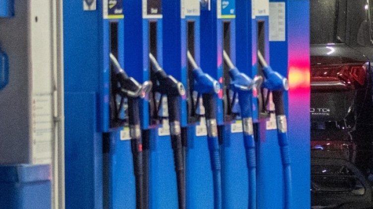 Снимка: архив, БГНЕС