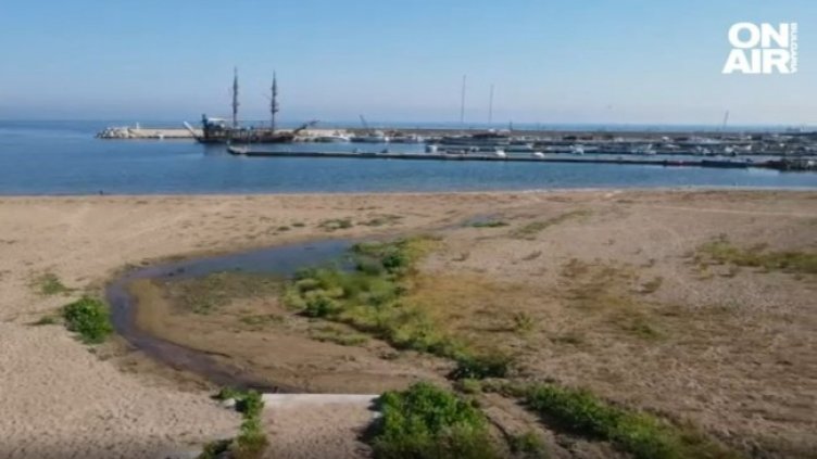 Снимка: Bulgaria ON AIR