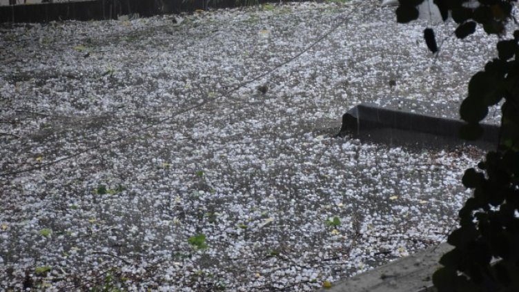 Снимка: БГНЕС