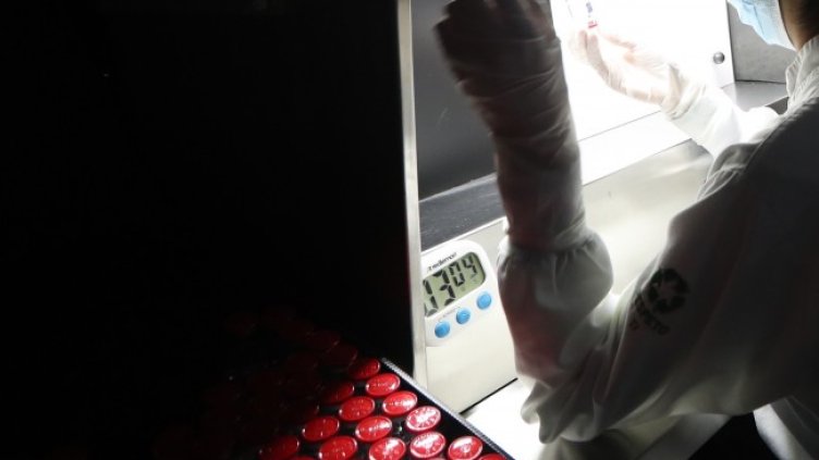 Снимка: архив, БГНЕС