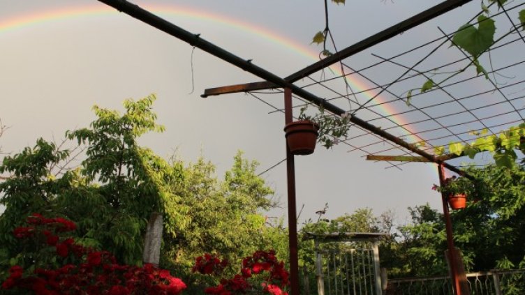 Снимка: архив, БГНЕС