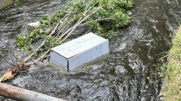 Снимка: Helpbook