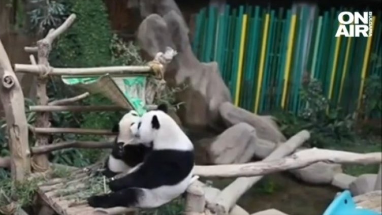 Снимка: Bulgaria ON AIR