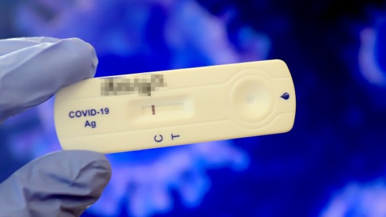 Снимка: архив, БГНЕС