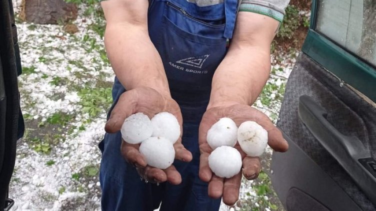 Снимка: БГНЕС