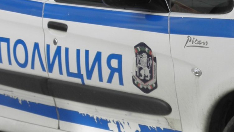 Снимка: архив, БГНЕС