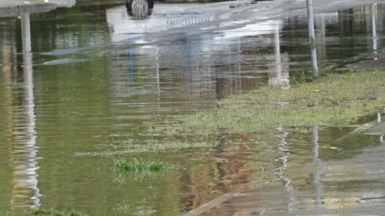 Снимка: Bulgaria ON AIR