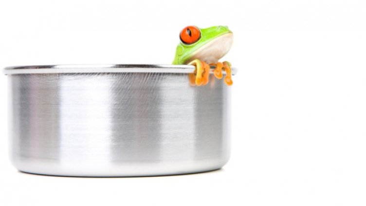 Снимка: Istock