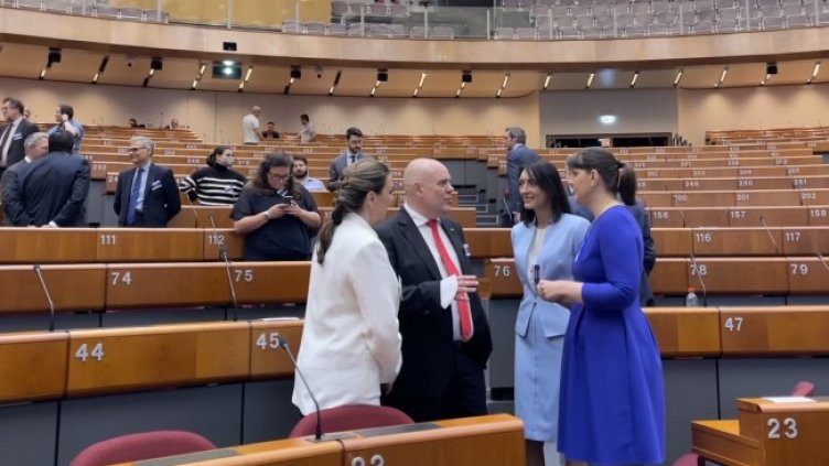 Снимка: БГНЕС