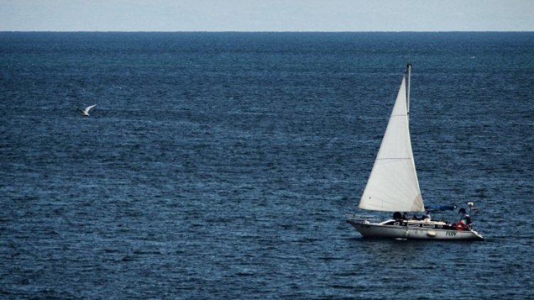 Снимка: архив, БГНЕС