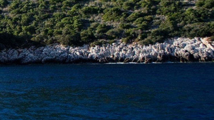 Снимка: архив, БГНЕС