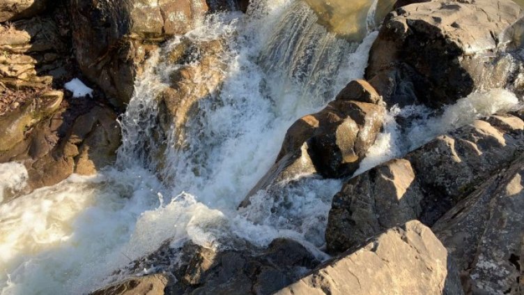 Снимка: архив, БГНЕС