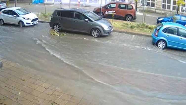 Снимка: Кадър БНТ