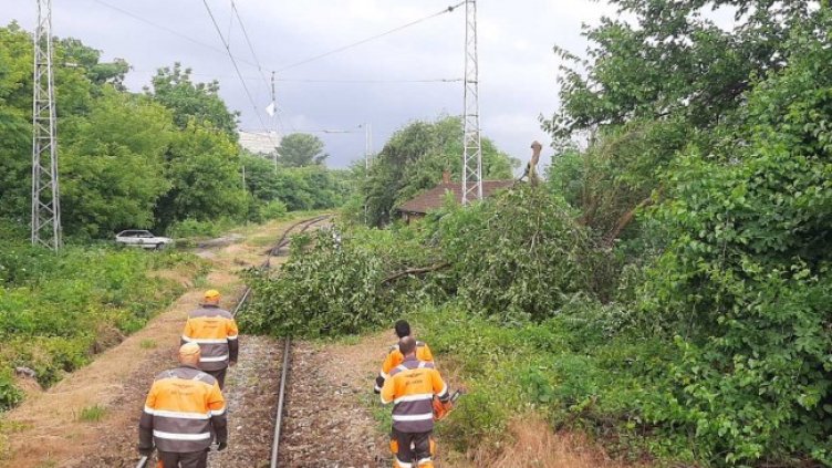 Снимка: БГНЕС