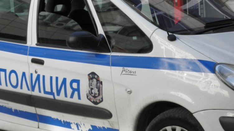 Снимка: архив, БГНЕС