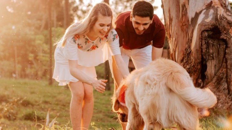 Снимка: Pexels/Diego Rezende