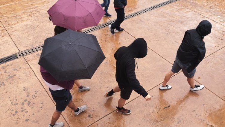 Снимка: архив, БГНЕС