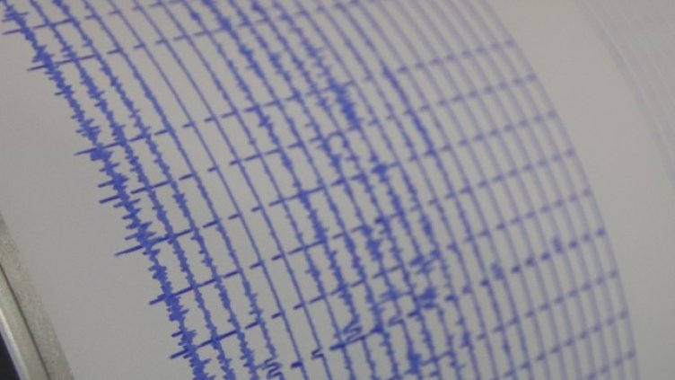 Снимка: архив, БГНЕС