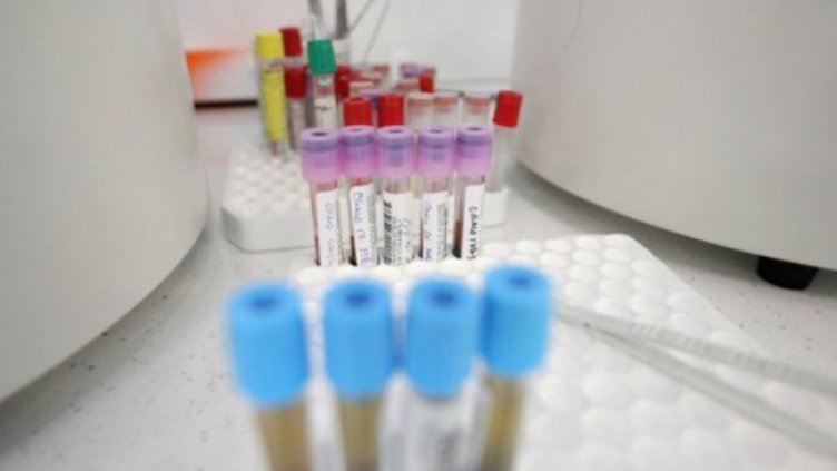 Снимка: Димитър Кьосемарлиев