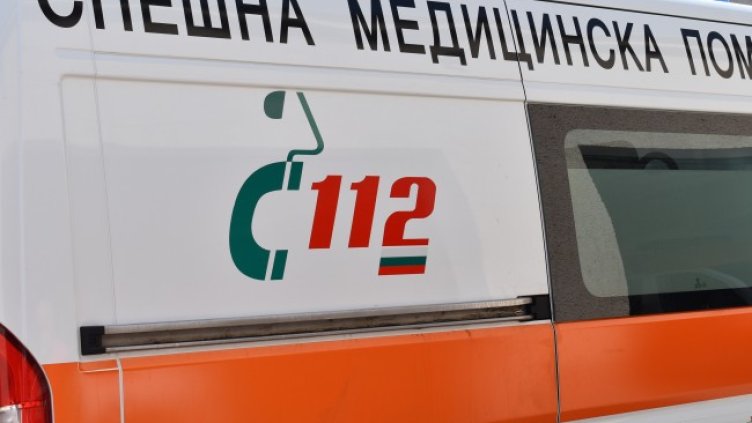 Снимка: архив, БГНЕС