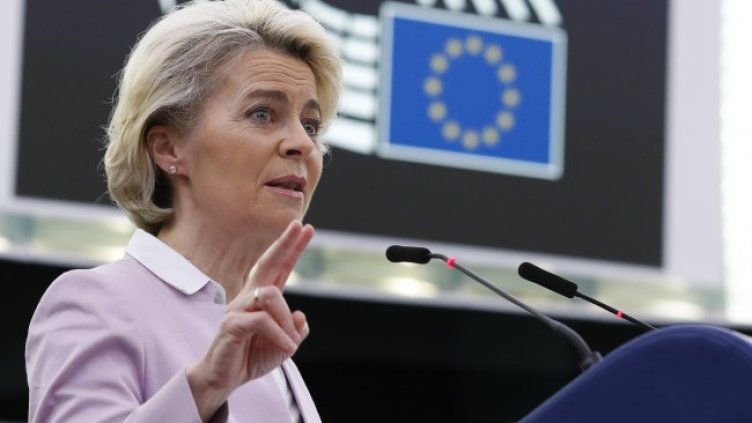 Снимка: архив, БГНЕС