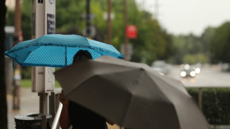 Снимка: архив, БГНЕС