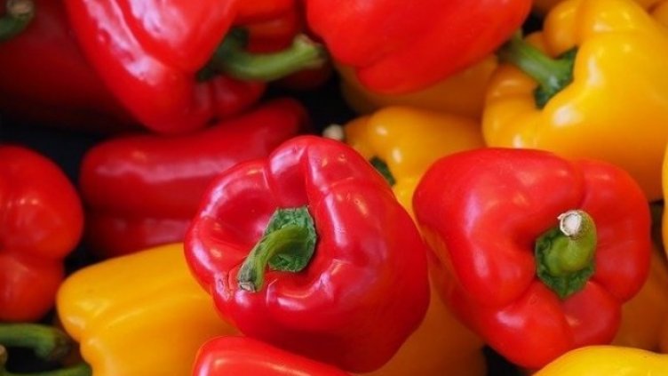 Снимка: БАБХ