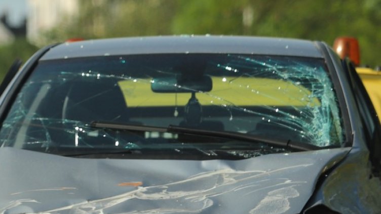 Снимка: архив, БГНЕС