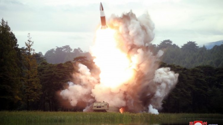 Снимка: архив, БГНЕС